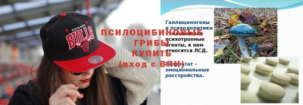 индика Баксан