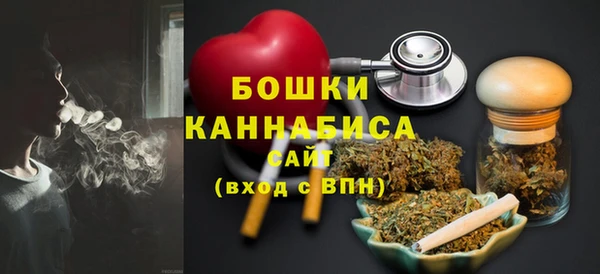 индика Баксан