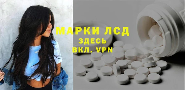 индика Баксан
