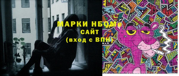 индика Баксан