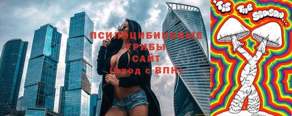 индика Баксан