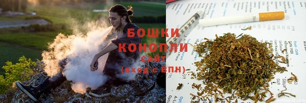 индика Баксан