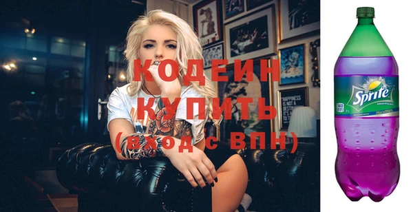 индика Баксан